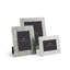 Palm Frame-60149249-93779417