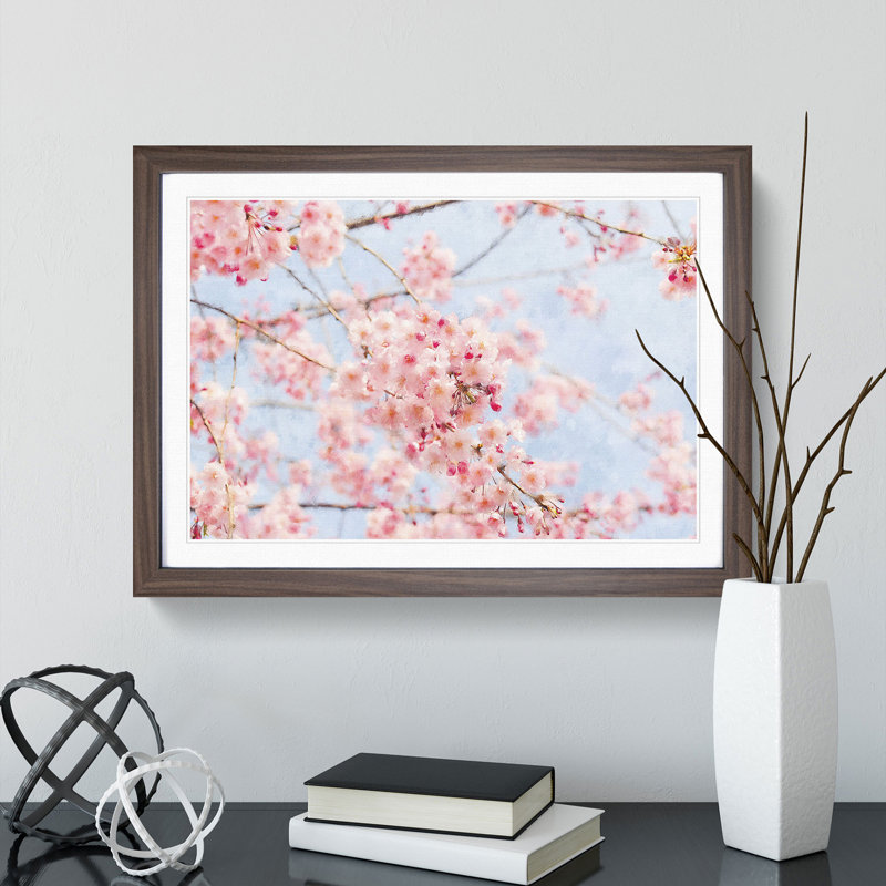 Pink Cherry Blossom Flowers Vol.9 - Framed Print, 36cm H x 48cm W x 2cm D, Walnut Framed