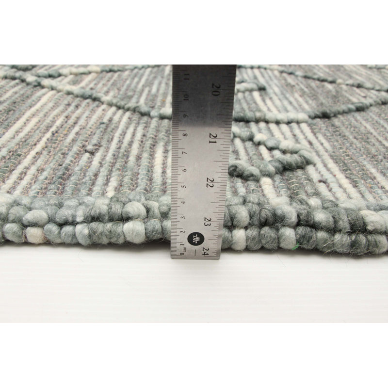 Hailah Performance Hand Braided Wool Rug