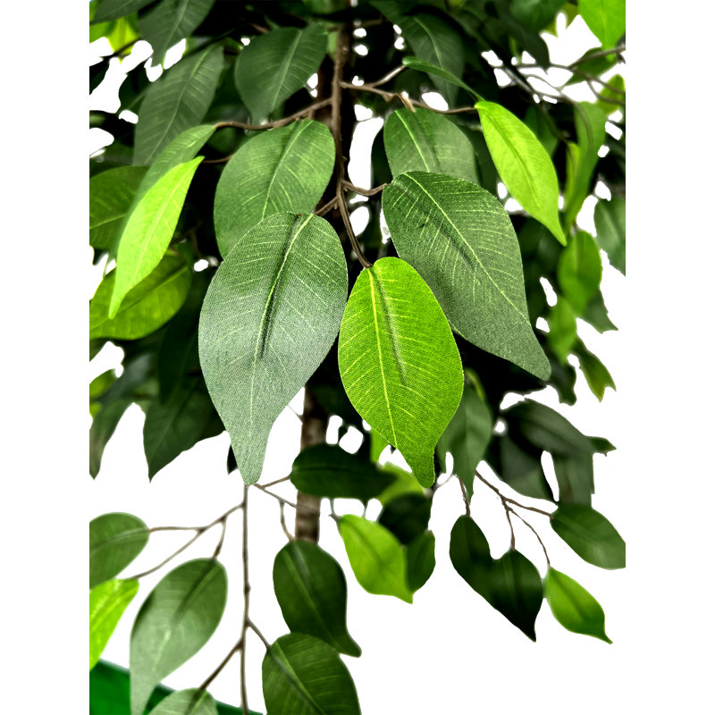 Ficus artificiel moderne de 6,5 po fabriqué à la main Primrue