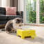 Cat Toys