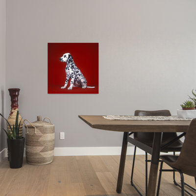 Dalmatian Puppy Sitting Red Background Classic Retro Vintage Dog Wall Art
