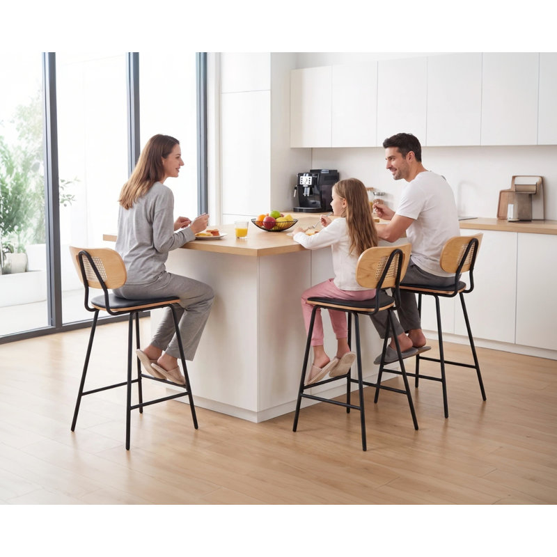 Parthenia Counter Stool, Black / Black