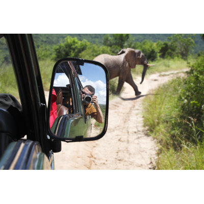 Éléphant sur la route par Narvikk