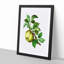 Green Apple by Pierre-Joseph Redoute - Picture Frame Painting Print-55575460-55575461