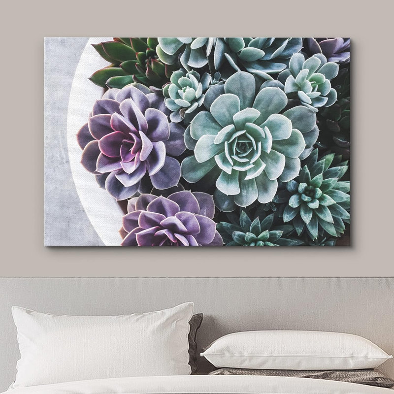 «Purple Green Pearl Echeveria Succulents Zen» sur, H 32 po x l 48 po