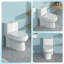Toilette monobloc en céramique pour salle de bain, 12 po à chasse brute, 1,1 / 1,6 GPF, double chasse avec siège à fermeture en douceur, double chasse puissante CARTE 800G