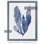 « algues under water iv » par paul cezanne-cadre photo, reproduction d’art-450035876-450035877-450071990