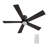 Dayceon 52'' Ceiling Fan with LED Lights-88506473-88506474