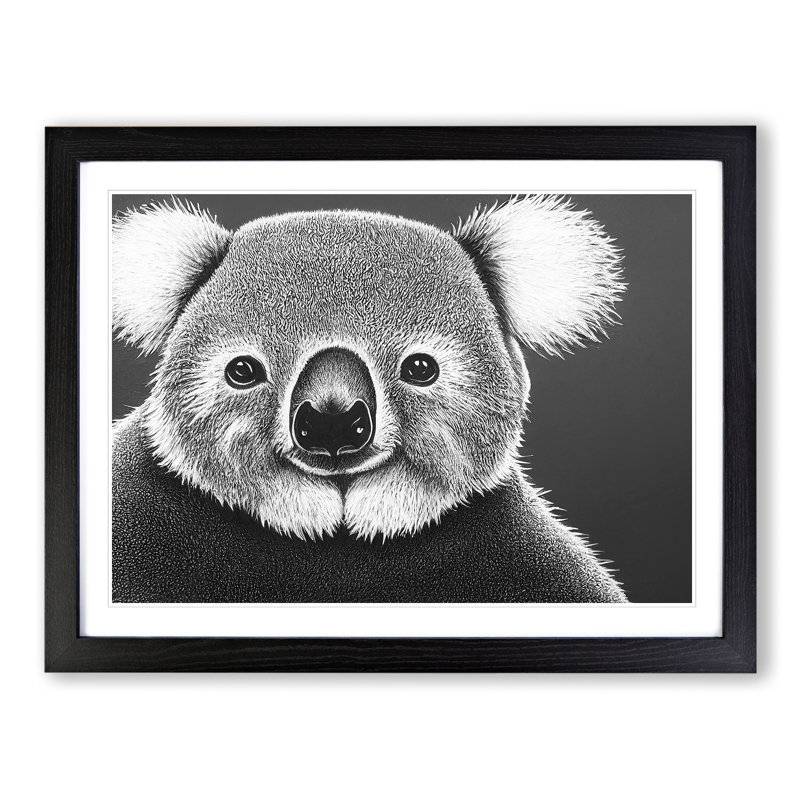 Koala Bear - Single Picture Frame Print, Black Framed, 46cm H x 64cm W