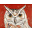 Colorful Eagle Owl Print On Canvas