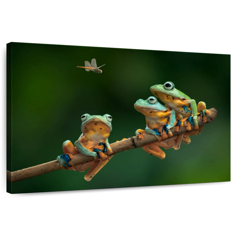 Brampt Hungry Frogs, 16" H x 24" W