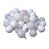 Blanc hivernal est en rupture de stock