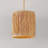 1 - Light Cylinder Pendant
