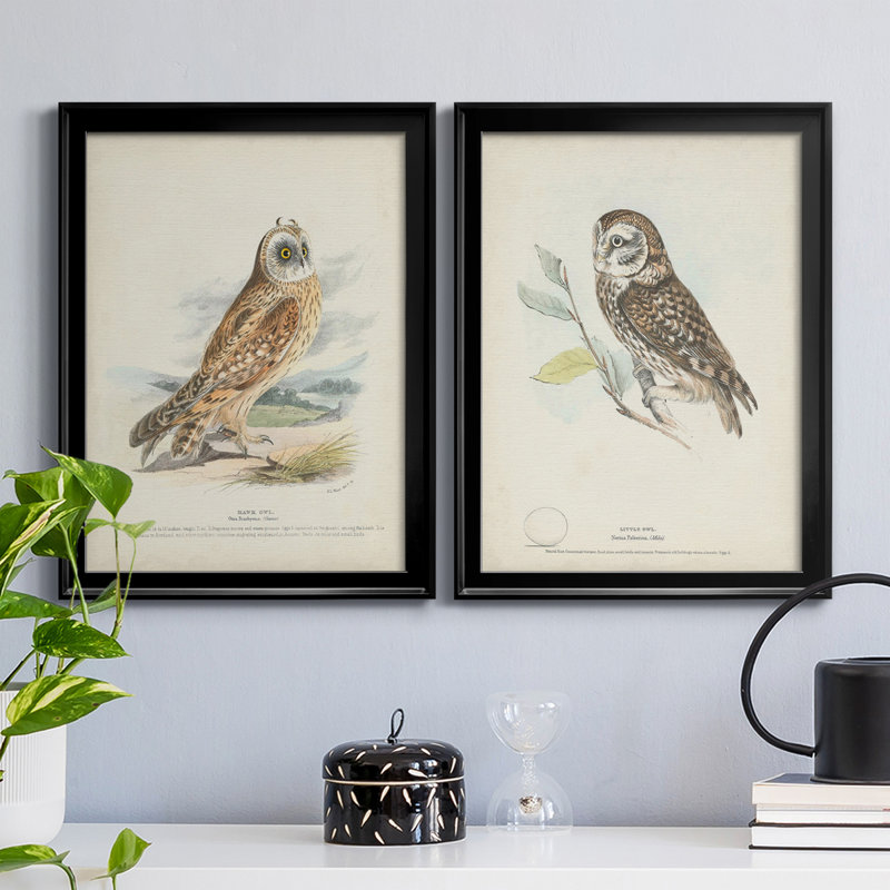 Hawk Owl - ensemble de 2 peintures sur toile encadrées, Noir, H 36,5 po x l 53 po x P 1 po