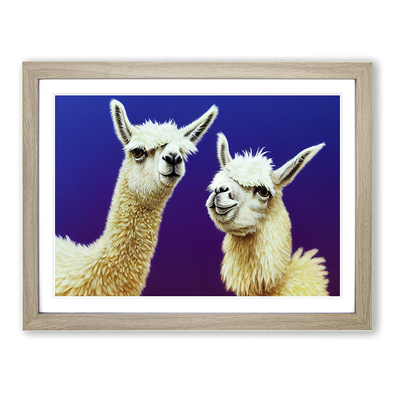 Thrilling Llamas - Single Picture Frame Print, 46cm H x 64cm W x 2cm D, Oak Framed