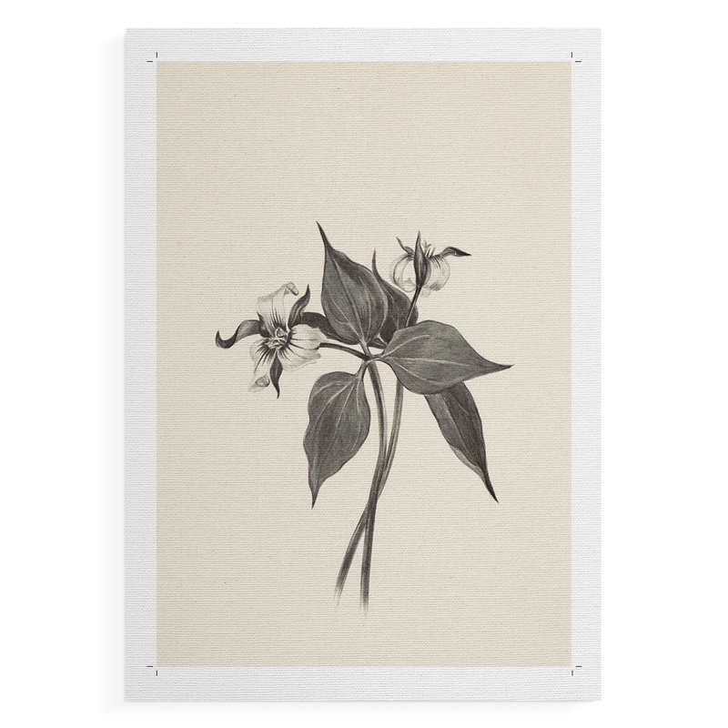 Imprimé floral rétro CLxx - impression sur toile seulement - non encadré, H 12 po x l 8 po