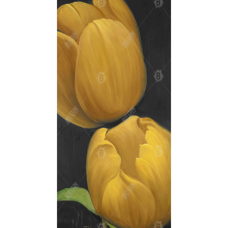 Two daffodils flowers - 15.75"x31.50" Desk mat