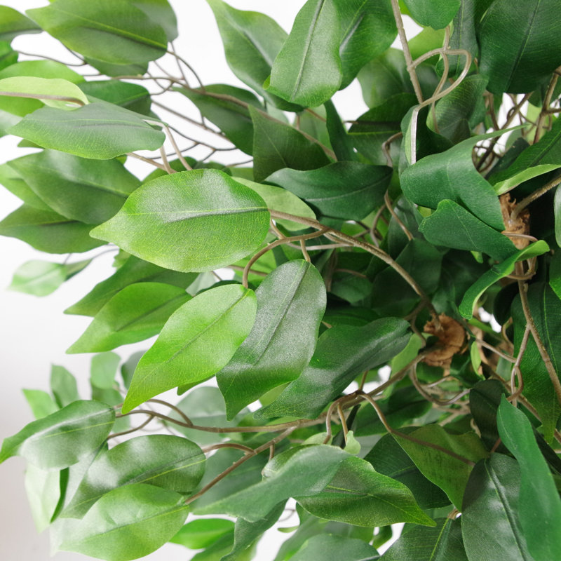 Anivea 90cm Faux Ficus Tree in Pot