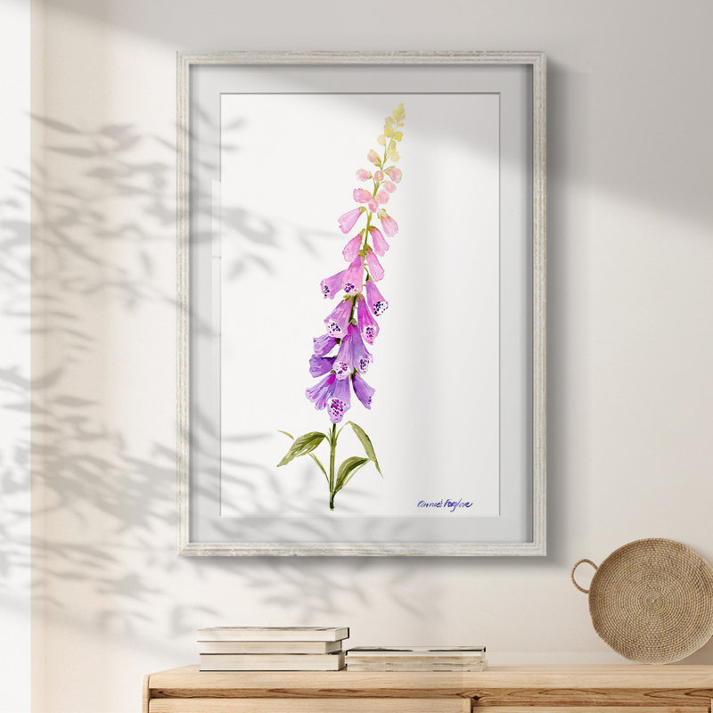 «Annie's Foxglove I», reproduction encadrée, H 28,5 po x l 20,5 po, Blanc