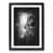 Black Framed