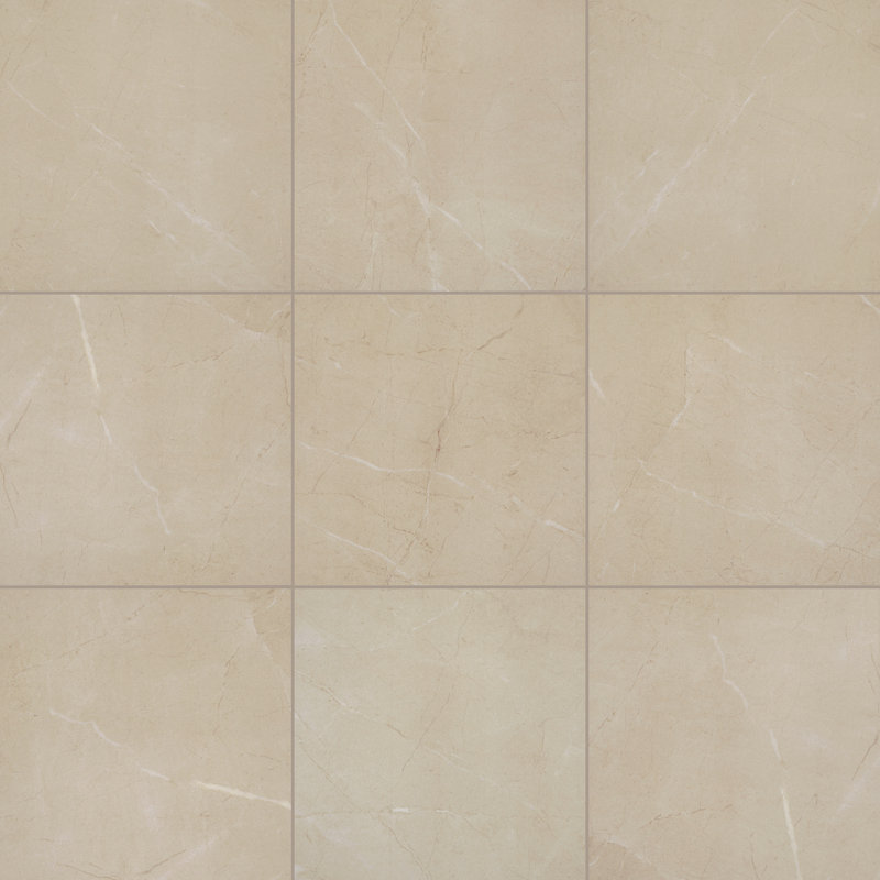Carreau de porcelaine mate pour plancher et mur 12 po x 12 po Daltile Perpetuo (13 pièces par carton) (12,22 pieds carrés par carton)