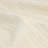 Indoor Rug-99061917