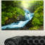 «Blue Creek in Green Rain Forest», reproduction de photo sur toile tendue-19409900