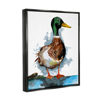 " Mallard Duck Water's Edge "