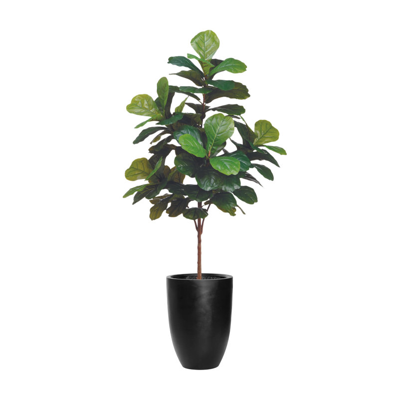 Arbre à violon 6 pi avec pot en fibre de pierre