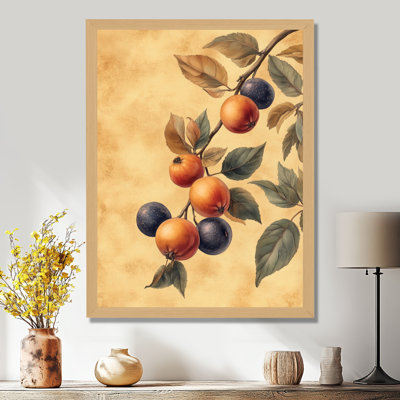 Fruit Study from the Old Garden - Vintage Botanical Picture Framed Wall Art