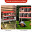 Nesting Boxes-601562862-601562863