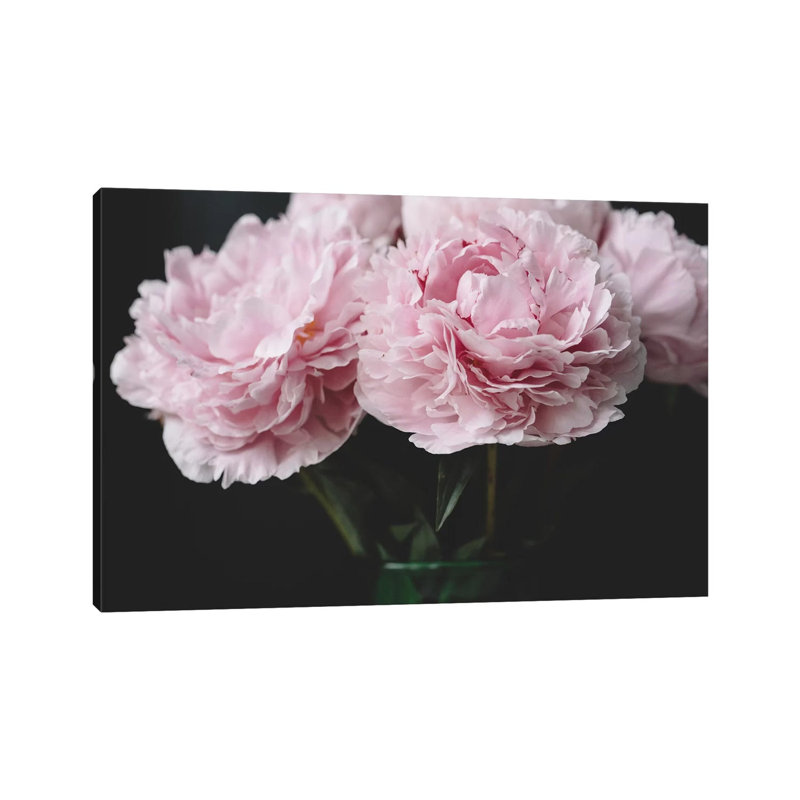 Pink Peonies by Chelsea Victoria - Wrapped Canvas Print, 101.6 cm H x 66.04 cm W x 3.175 cm D