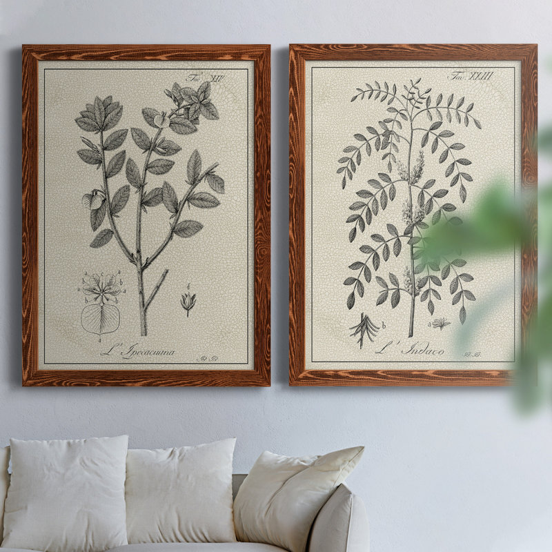 Antique botanique noir et blanc antique - ensemble de 2 reproductions d'art, H 37,5 po x l 55 po x P 1,5 po, Pas de tapis