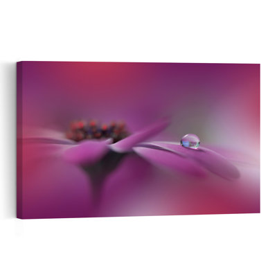 Purple Flower Dewdrop Abstract Delicate Peaceful Violet Flower Nature Wall Art Print 1 Piece Wrapped Canvas Wall Art