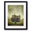 Tree In The Fog 2 Print-132443717