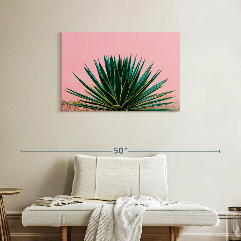 Harnek Contemporary Succulent, H 24 po x l 36 po