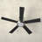 Marcin 52'' Ceiling Fan with LED Lights-60860956