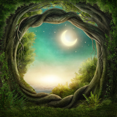 « enchanted dark forest », ensemble de 4 reproductions d’art sur toiles