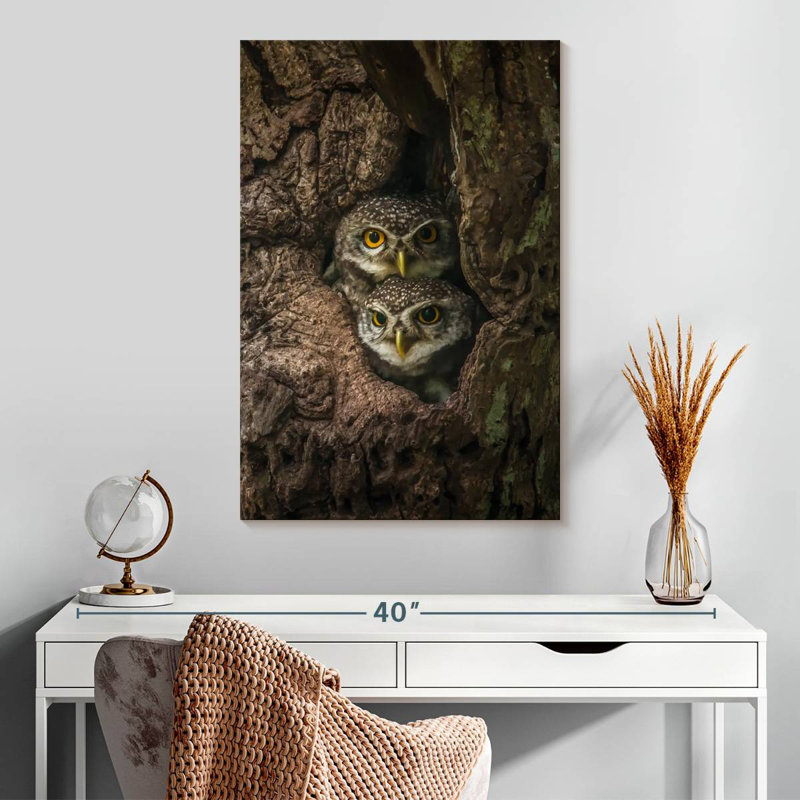 Brampt Twin Baby Owls, 30" H x 20" W