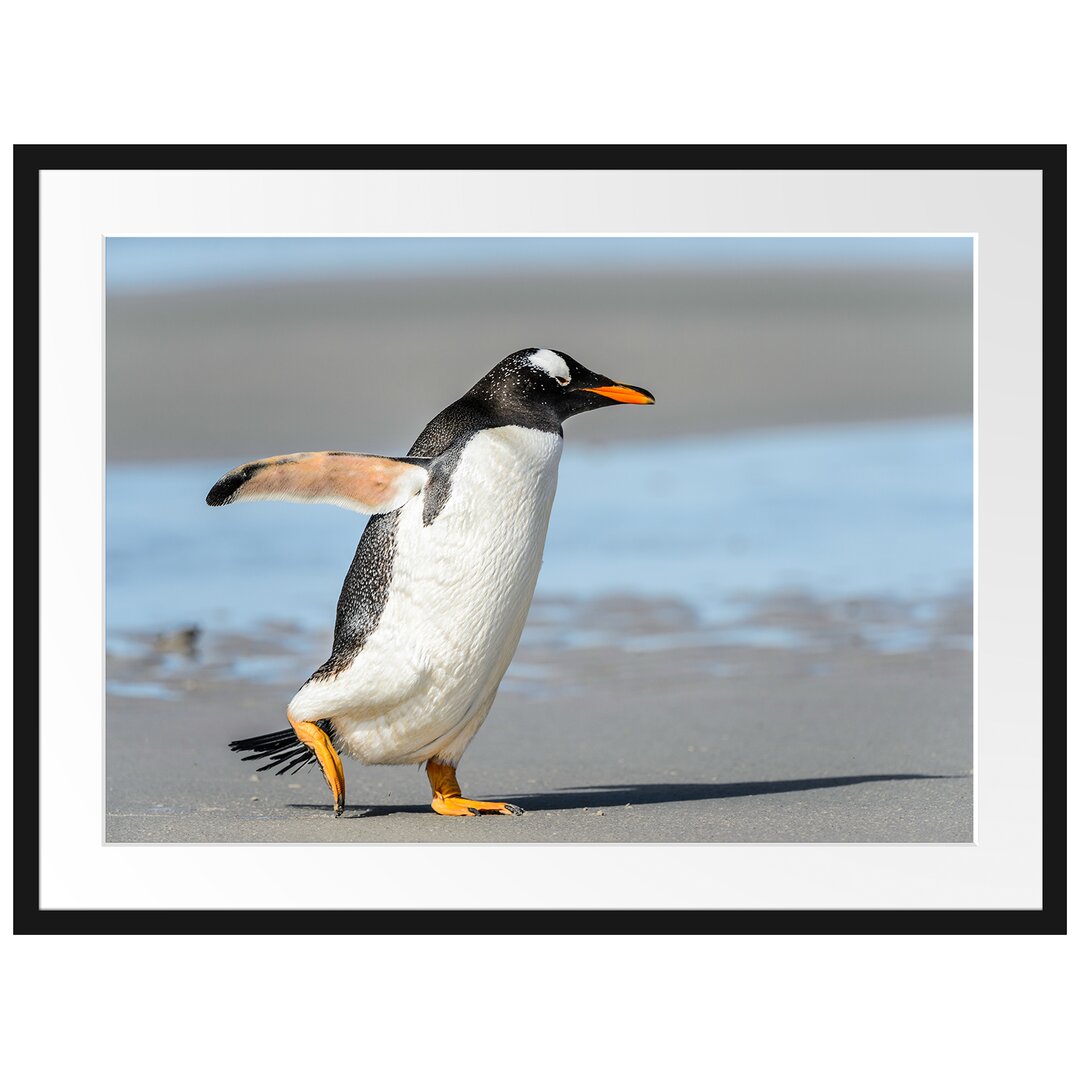 Gerahmtes Poster Pinguin am Strand