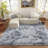 Shag Area Rugs 4x6 ft, Tie-dyed Grey Fluffy Rug for Living Room, Non-Slip Shag Carpet for Bedroom Nursery Kids Play Room Dorm Office-630778011