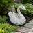 White Swan Garden Planter