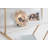 Phifer 4 Piece Octagon Floating Shelf-427982047