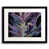 Black Framed Paper selected