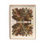 Rorschach Earth Painting by Orfeo Quagliata-1873827438