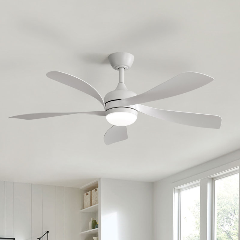 Damecia 52'' Ceiling Fan with LED Lights, White