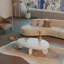 Table basse moderne 46 po x 29 po x 12 po - blanc ultrabrillant-804713571