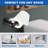 Wall Mounted Toilet Paper Holder