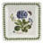 Portmeirion Botanic Garden Square Plate 7"
